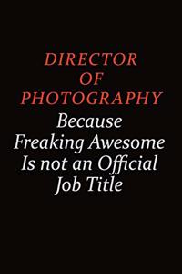 Director of Photography Because Freaking Awesome Is Not An Official job Title
