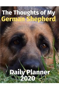 The Thoughts of My German Shepherd
