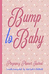 Bump to Baby Pregnancy Planner Journal 9 Months Journey Week-by-Week Guide to Childbirth