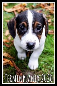Terminplaner 2020