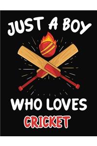 Just a Boy Who Loves Cricket