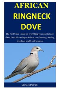 African Ringneck Dove