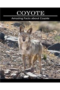 Amazing Facts about Coyote