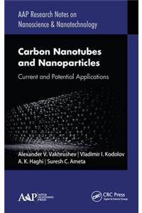 Carbon Nanotubes and Nanoparticles