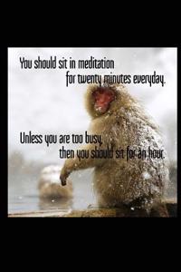 You Should Sit in Meditation for Twenty Minutes Everyday. Unless You Are Too Busy, Then You Should Sit for an Hour