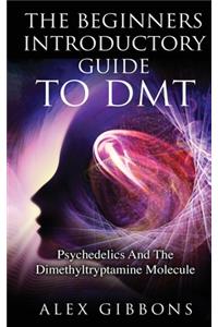 Beginners Introductory Guide To DMT - Psychedelics And The Dimethyltryptamine Molecule