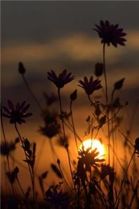 Sunset and Flowers Nature Journal