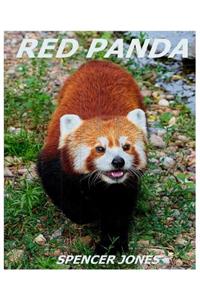 Red Panda