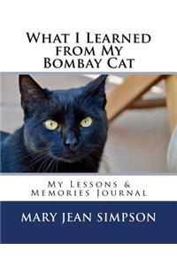 What I Learned from My Bombay Cat