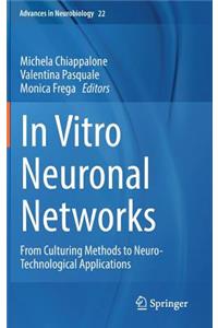 In Vitro Neuronal Networks