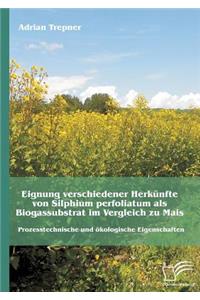 Eignung verschiedener Herkünfte von Silphium perfoliatum als Biogassubstrat im Vergleich zu Mais