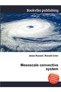 Mesoscale Convective System
