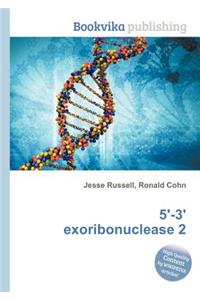 5'-3' Exoribonuclease 2