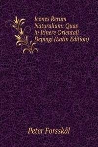 Icones Rerum Naturalium: Quas in Itinere Orientali Depingi (Latin Edition)