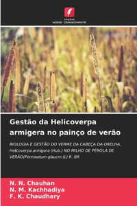 Gestão da Helicoverpa armigera no painço de verão