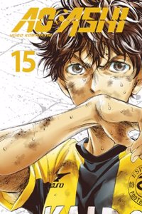 AO ASHI 15