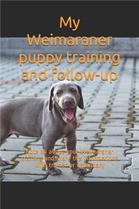 My Weimaraner puppy training and follow-up