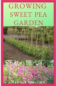 Growing Sweet Pea Garden