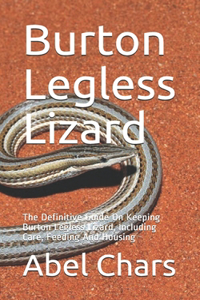 Burton Legless Lizard