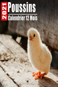 Calendrier 2021 Poussins
