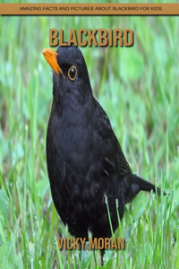 Blackbird