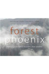 Forest Phoenix