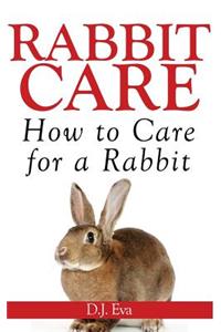 Rabbit Care: How to Care for a Rabbit