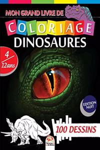 Mon grand livre de coloriage dinosaures - Edition nuit