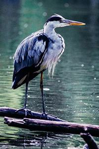 Grey Heron at the Lake Journal