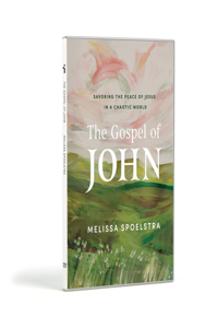 Gospel Of John, The - DVD Set