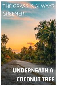The Grass Is Always Greener Underneath a Coconut Tree
