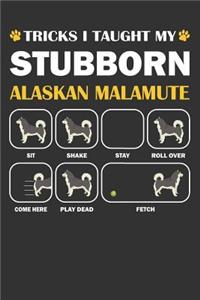 Alaskan Malamute Journal
