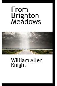 From Brighton Meadows