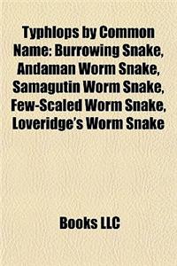 Typhlops by Common Name