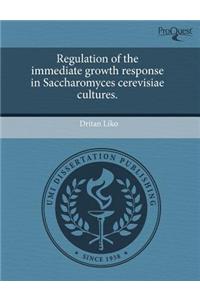 Investigation on Cirrus Clouds by the Cloud-Aerosol Lidar and Infrared Pathfinder Satellite Observation Data