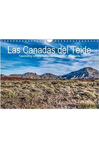 Las Canadas del Teide - Fascinating Volcanic Landscape in the Heart of Tenerife / UK-Version 2017