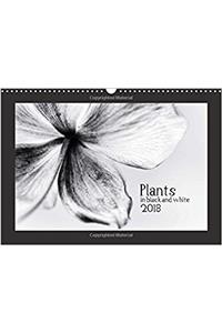 Plants in Black and White / UK-Version 2018