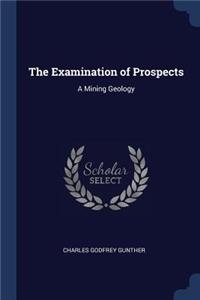 The Examination of Prospects