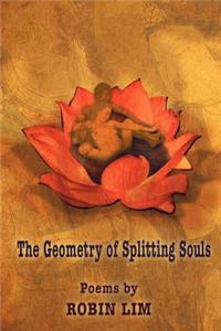 Geometry of Splitting Souls