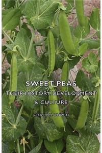 Sweet Peas - Their History, Development & Culture