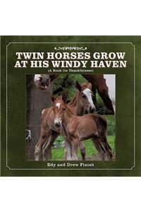 Twin Horses Grow at His Windy Haven