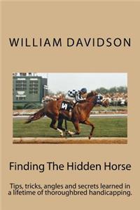 Finding The Hidden Horse