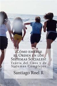 ¿Cómo emerge el Orden en los Sistemas Sociales?