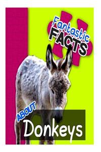 Fantastic Facts about Donkeys