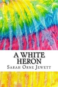 A White Heron