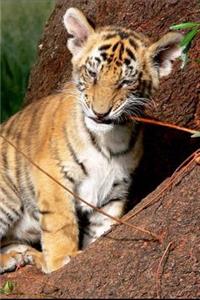 Adorable Tiger Cub Journal