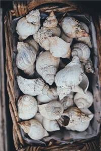 Basketful of Seashells Journal