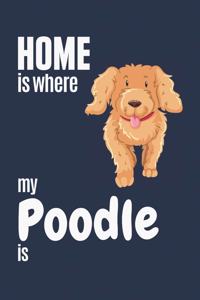 Home is where my Poodle is