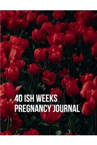 40ish Weeks Pregnancy Journal