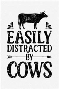 Easily Distracted By Cows